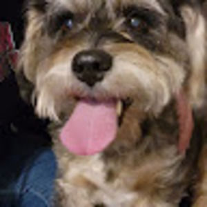 Meet your Posher, Randy